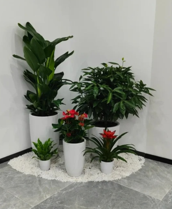 鄞州绿植租摆价格表-杭州湾花卉租赁合同模板-海曙绿植租赁效果-宁波商务花卉出租推荐